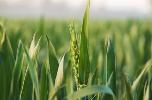 ֣��136����