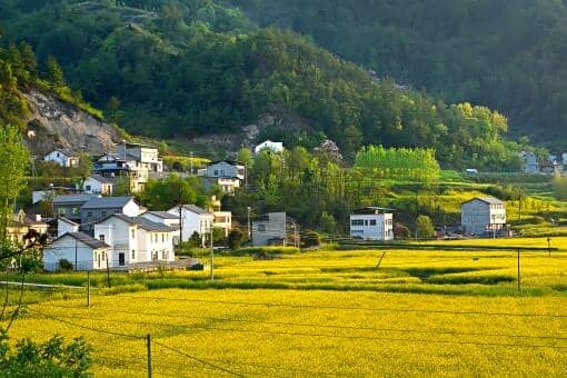 ��ɳ���и߼�����ְҵũ����