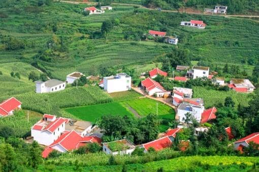 ��ɳ���и߼�����ְҵũ������