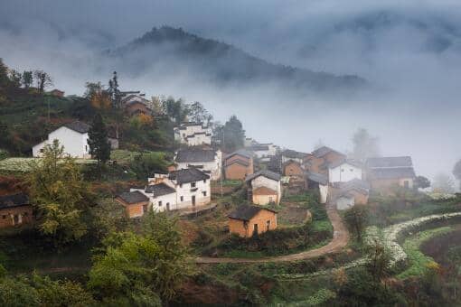 ��ɳ���и߼�����ְҵũ��