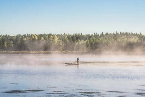 石九公鱼多少钱一斤