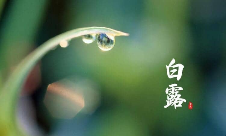 ��¶������ͳϰ������Щ