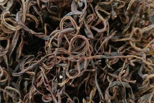 ����-����