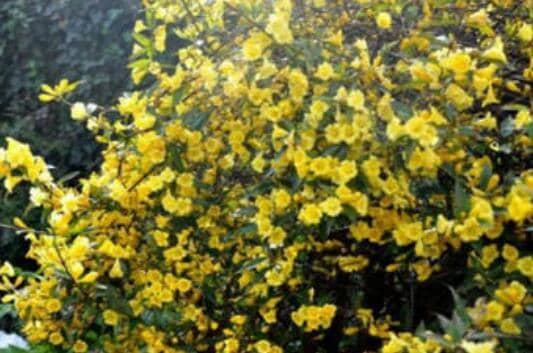 ������ˮ�������ֳ������ע������