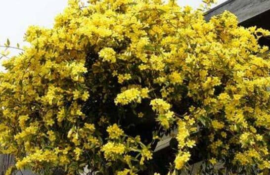 ������ˮ�������ֳ������ע������