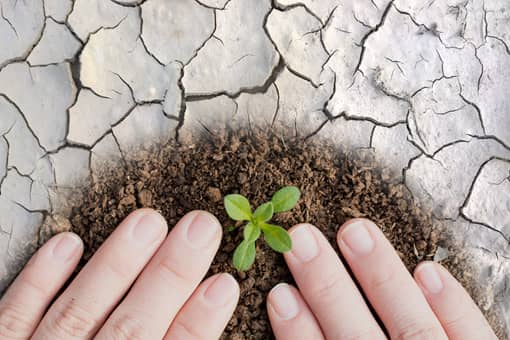 ������2022��������