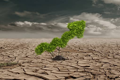 ȫ��������