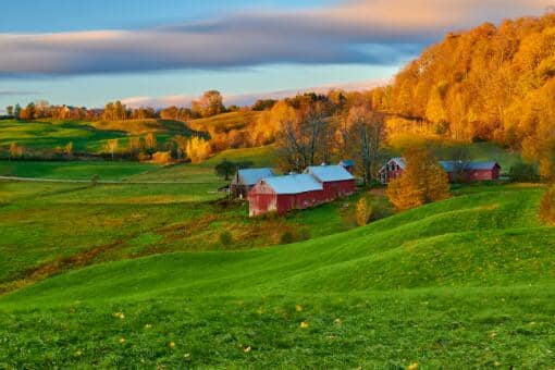 ũ���������ʲô��������