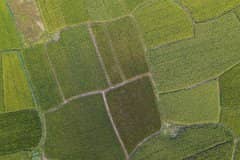 ��ʳ����2022��ʲôʱ�򷢷ţ�����ũ��ÿĶ�ض���Ǯ��