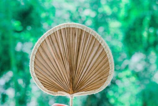 2022���������������ʱ���