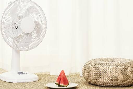 ��������Ǽ��¼���2022