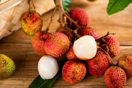 如何判断荔枝有没有虫