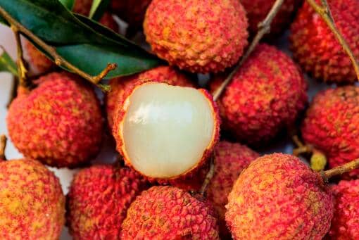 荔枝虫子吃到肚子有什么危害