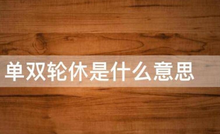 ��˫����ʲô��˼