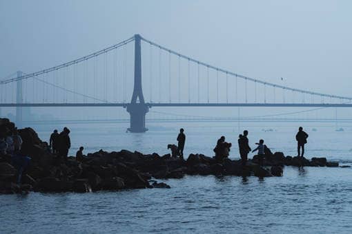 长江白鲟灭绝的原因