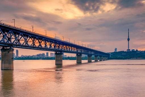 长江白鲟被正式宣布灭绝