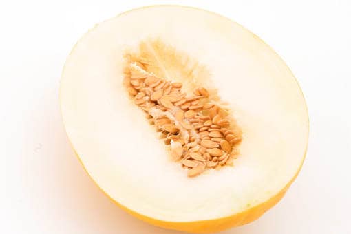 �����α���ʱ�䳤