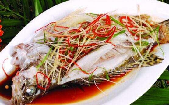 �����Ӫ����ֵ �Թ���Ĺ�Ч��ô�