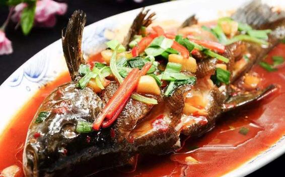 �����Ӫ����ֵ �Թ���Ĺ�Ч��ô�