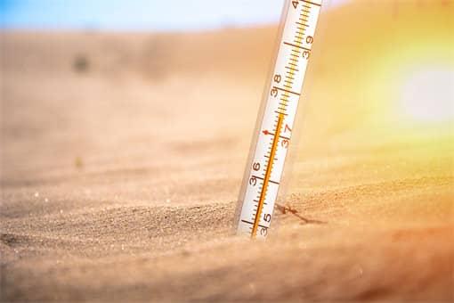 中伏天最热还是末伏天最热