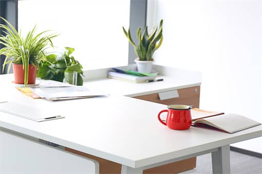 ��������͹��ʱ�׼2022��