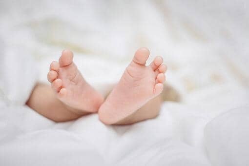 江西产假2022最新政策