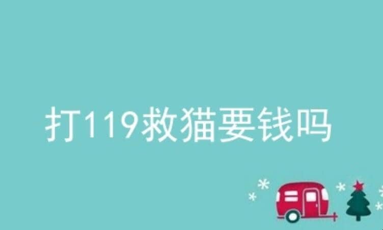 119èҪǮ