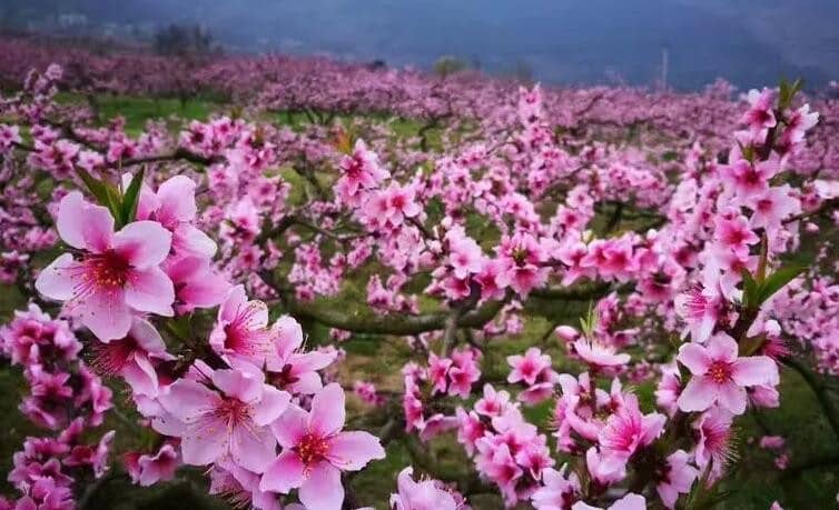 �һ������ַ������