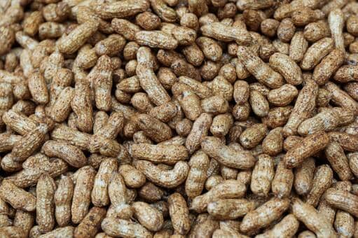 �����۸���ռ�һ�����Ǯ