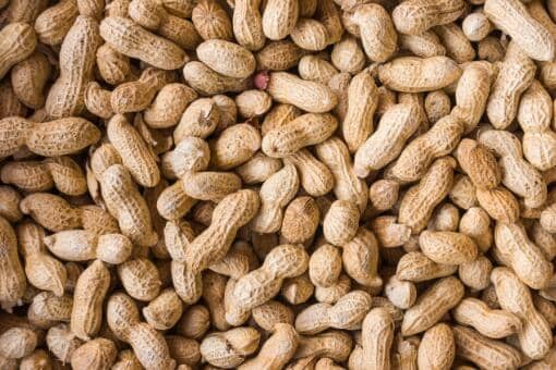 �����۸�2022��������