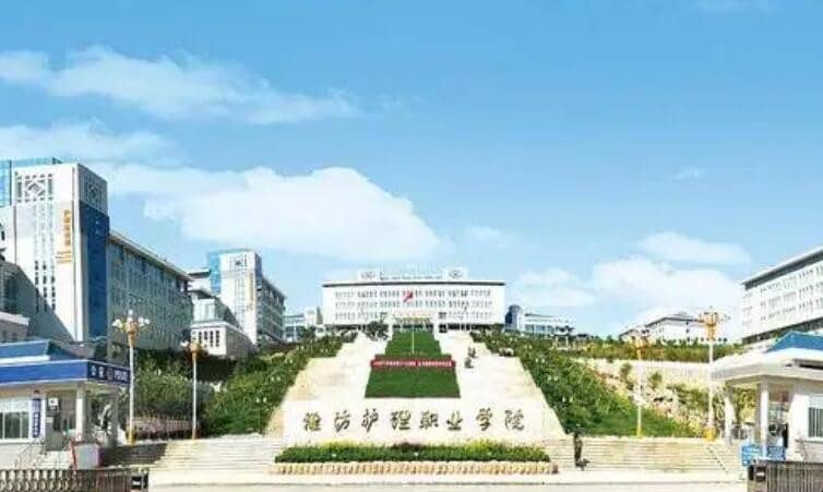 Ϋ������ְҵѧԺ������