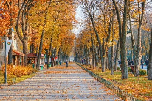 今年是早立秋还是晚立秋2022