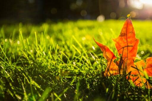 今年立秋是8月7号几点