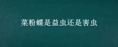 ˷۵滹Ǻ