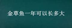 һԳ