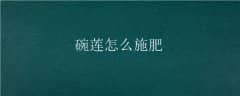 ôʩ