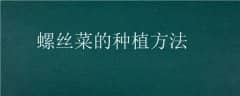 ˿˵ֲ