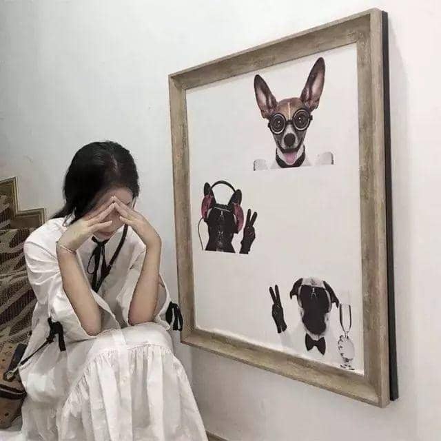 ʺϷ˵˵Ĭ