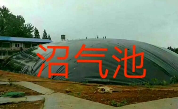 صʲô