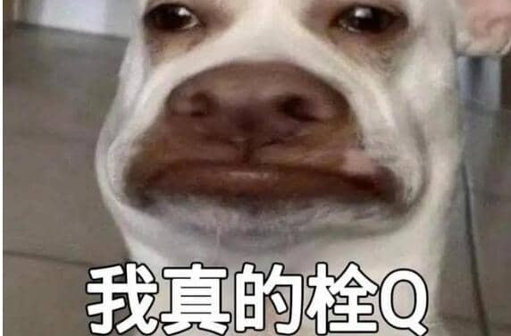 ˨qʲô˼