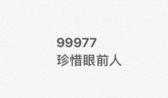 99977ʲô˼