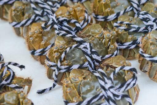 ��բзʲô���ڼ��·������ó�