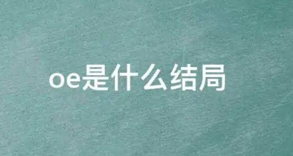 OE��ʲô���