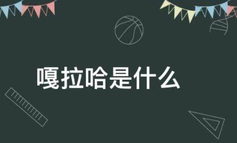 ��������ʲô