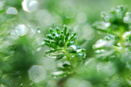 ��¶��ϰ��