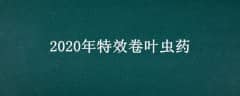 2020ЧҶҩ