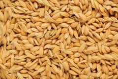 ���ȼ۸���������2022������Ǯһ�����ڣ������ؽ��ռۣ�