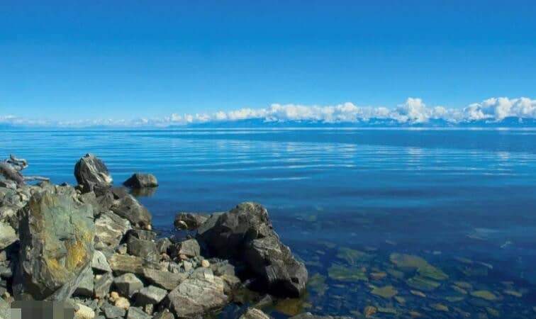 ������������