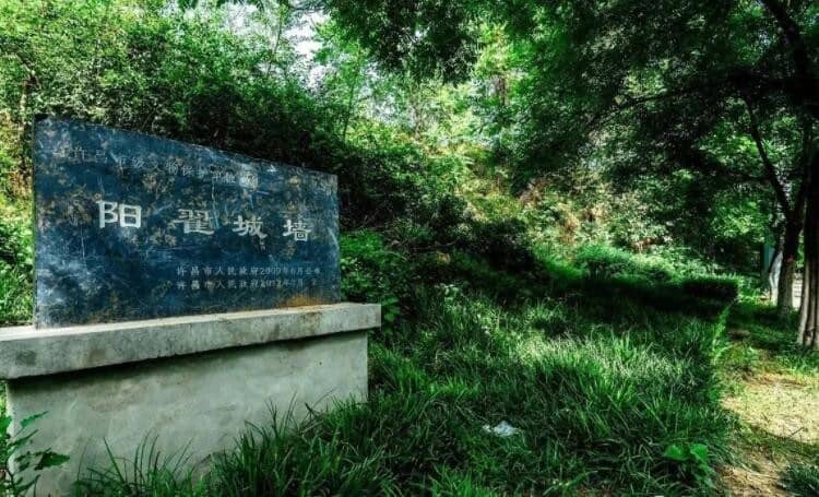 ���������ڵ�����