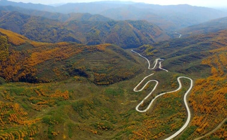 ¤ɽ������